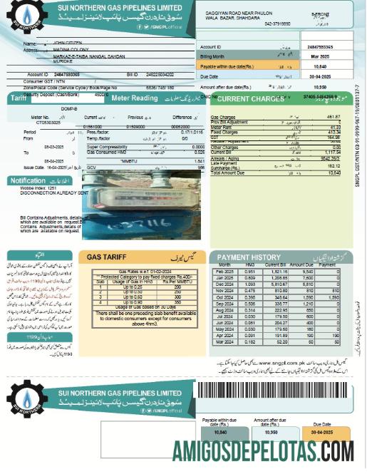imprimível Modelo de conta de serviços públicos limitada da Pakistan Sui Northern Gas Pipelines em formatos Word e PDF, versão 2